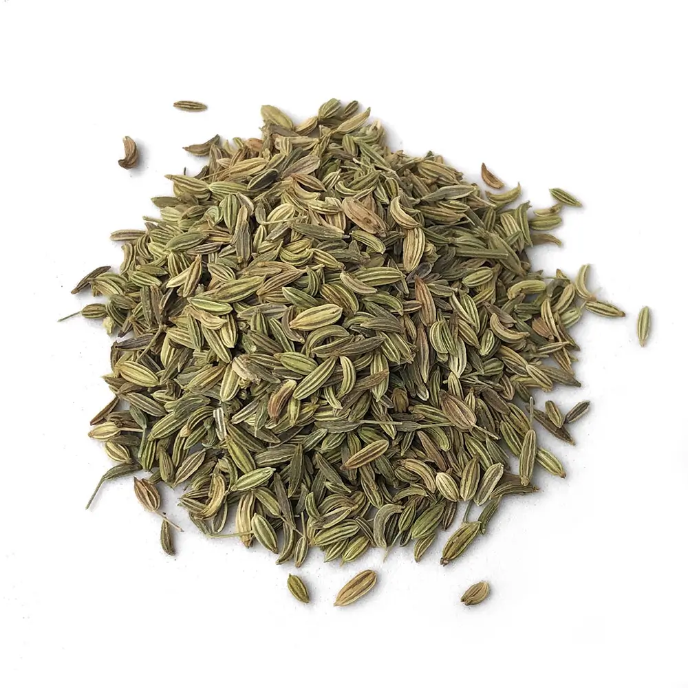Fennel